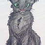 Hollyleaf (Art Trade with HybridFurryHusky)