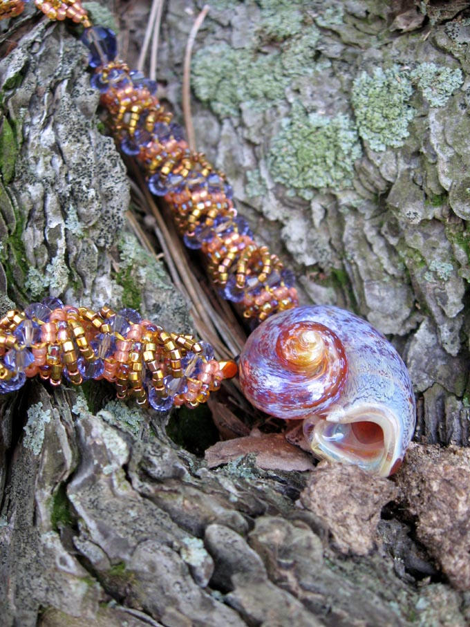 Honey Shell close-up by penguine145 on DeviantArt