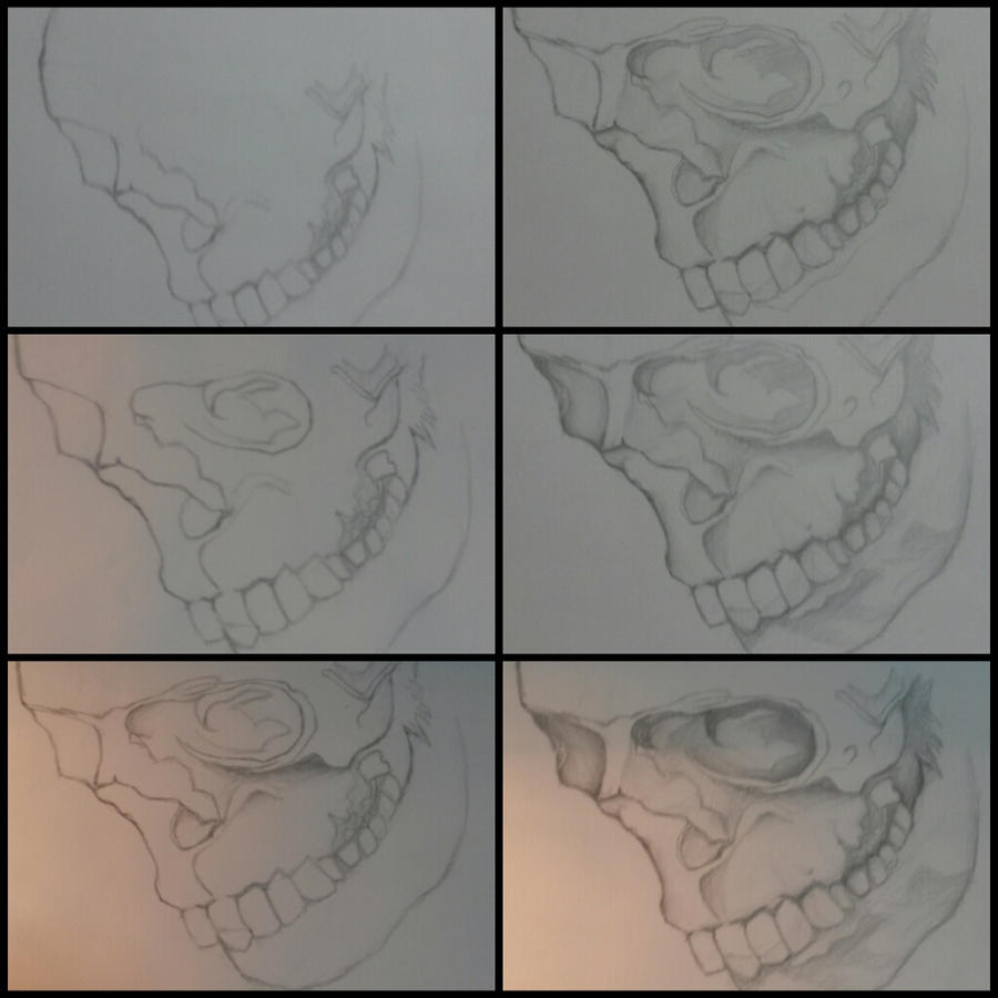 Skull (working)