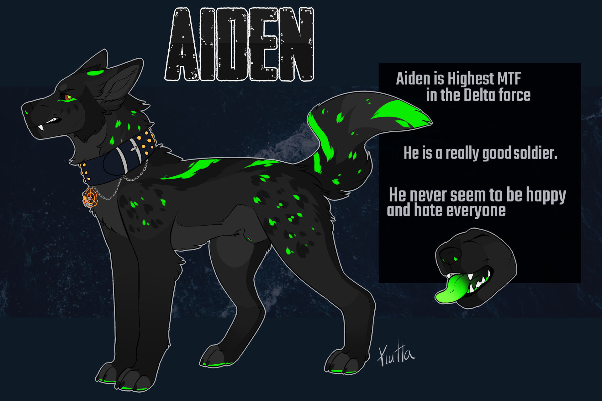 RS : Aiden