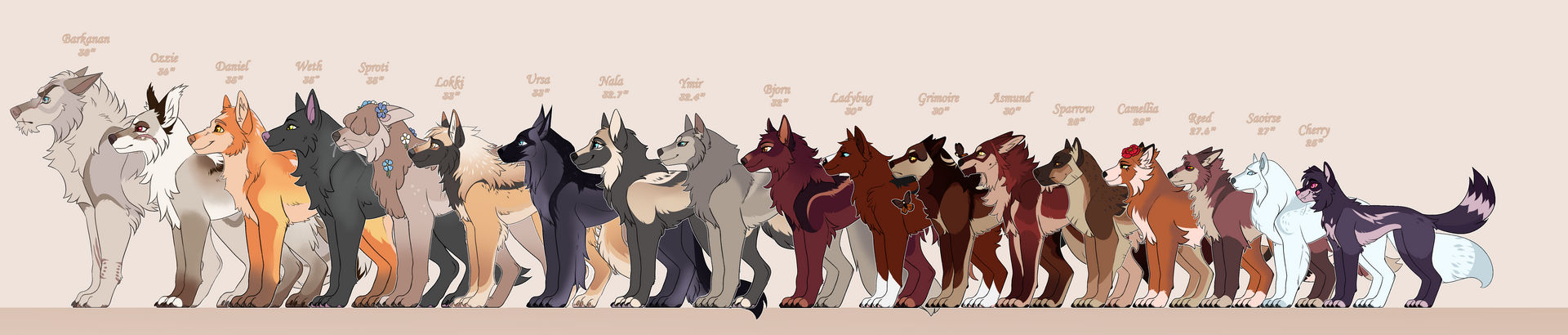 Amaryllis Tribe - Size chart by Hoccult on DeviantArt