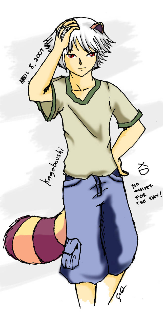 Trickster racoon by kanaete-onegai on DeviantArt