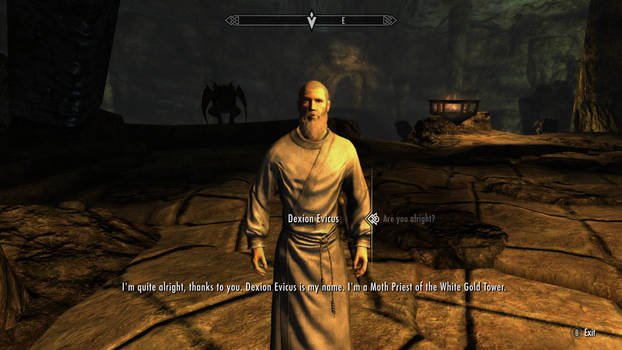 SKYRIM: Dexion Evicus the Moth Priest