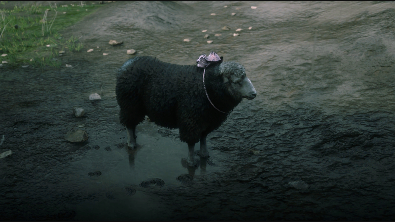 RDR2 Black Merino Sheep on