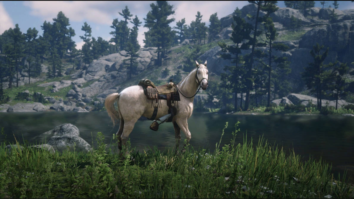 RDR2 Buell the Dutch Warmblood by SPARTAN22294 on DeviantArt