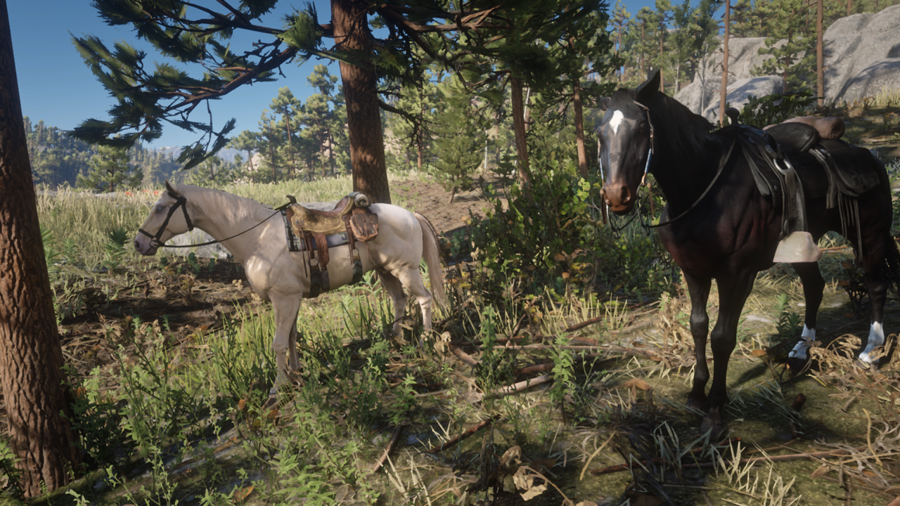 RDR2: Buell and Rachel by SPARTAN22294 on DeviantArt