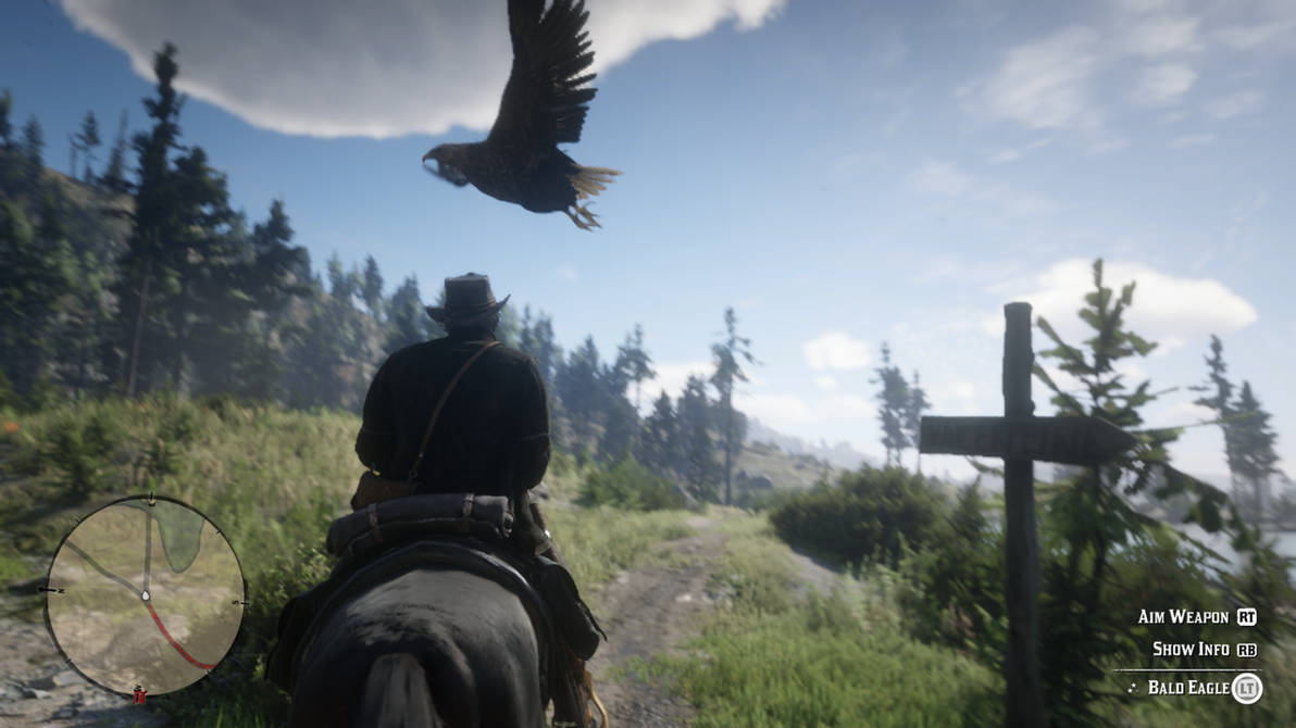 RDR2: Bald Eagle by SPARTAN22294 on DeviantArt