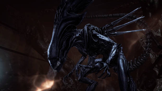 Predator Vs Alien 3 by yousifkhaled on DeviantArt