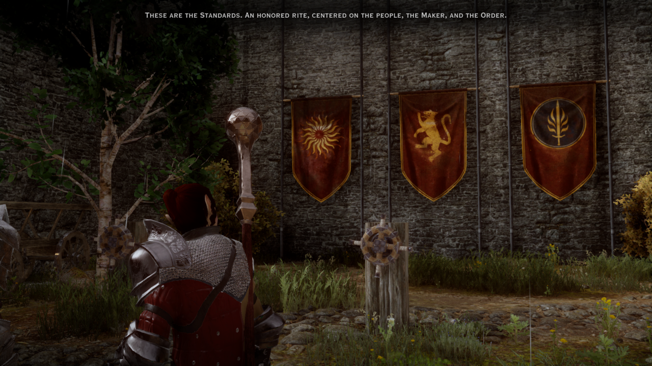 A Day for Celebration, Dragon Age Wiki