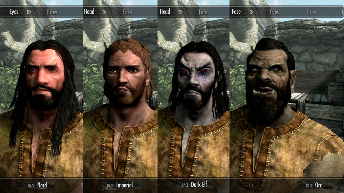 SKYRIM: The Race I'll play as by SPARTAN22294 on DeviantArt