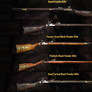 Fallout 76: Black Powder Rifles