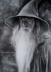 Gandalf the Grey