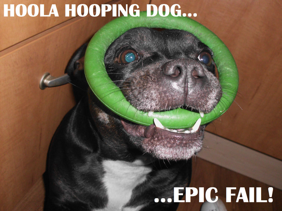 Hoola Hooping Dog EPIC FAIL
