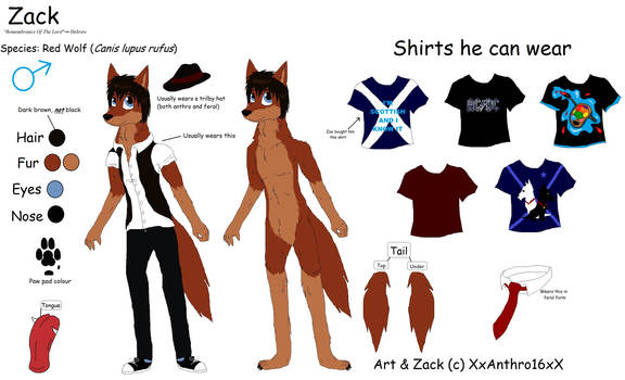 Zack Reference Sheet .:Anthro:.