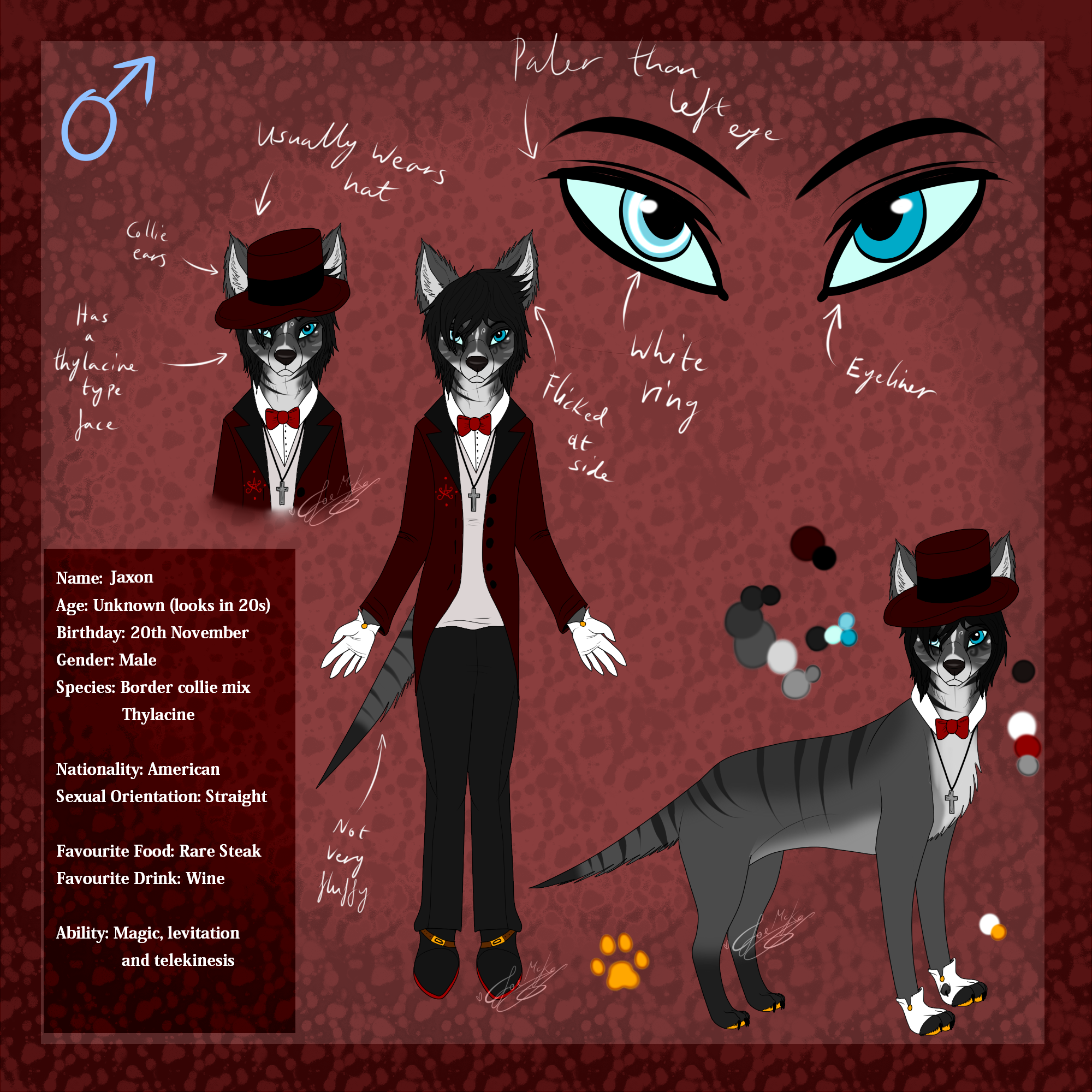 Jaxon Ref. Sheet .:2013:.