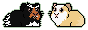 Poppy and Lily Sprites~