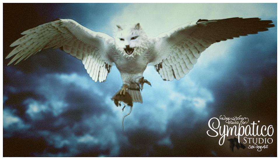 Meowl Exploding The Meowl by Saidge42 on DeviantArt