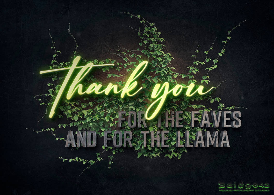 HWS - thank you - FAVES+LLAMA