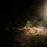 all that remains.....