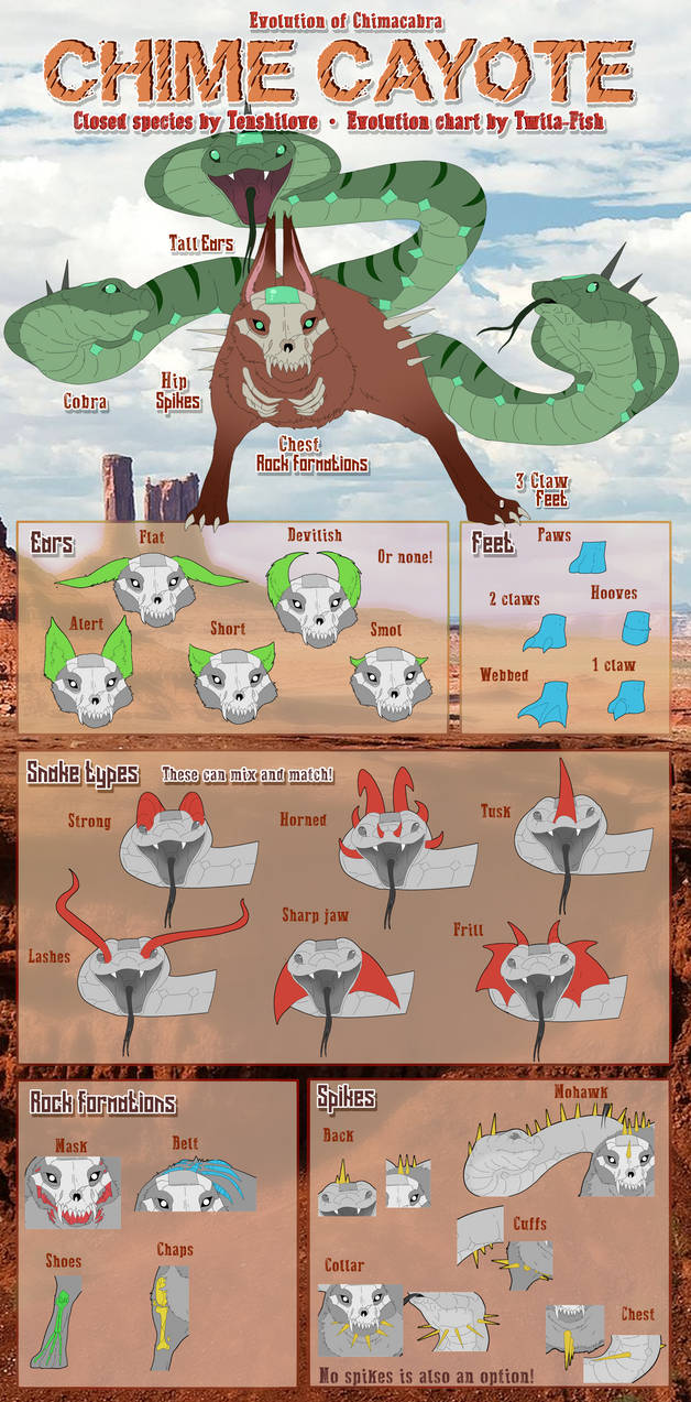 Evolution chart by CandyflossSTAFF on DeviantArt