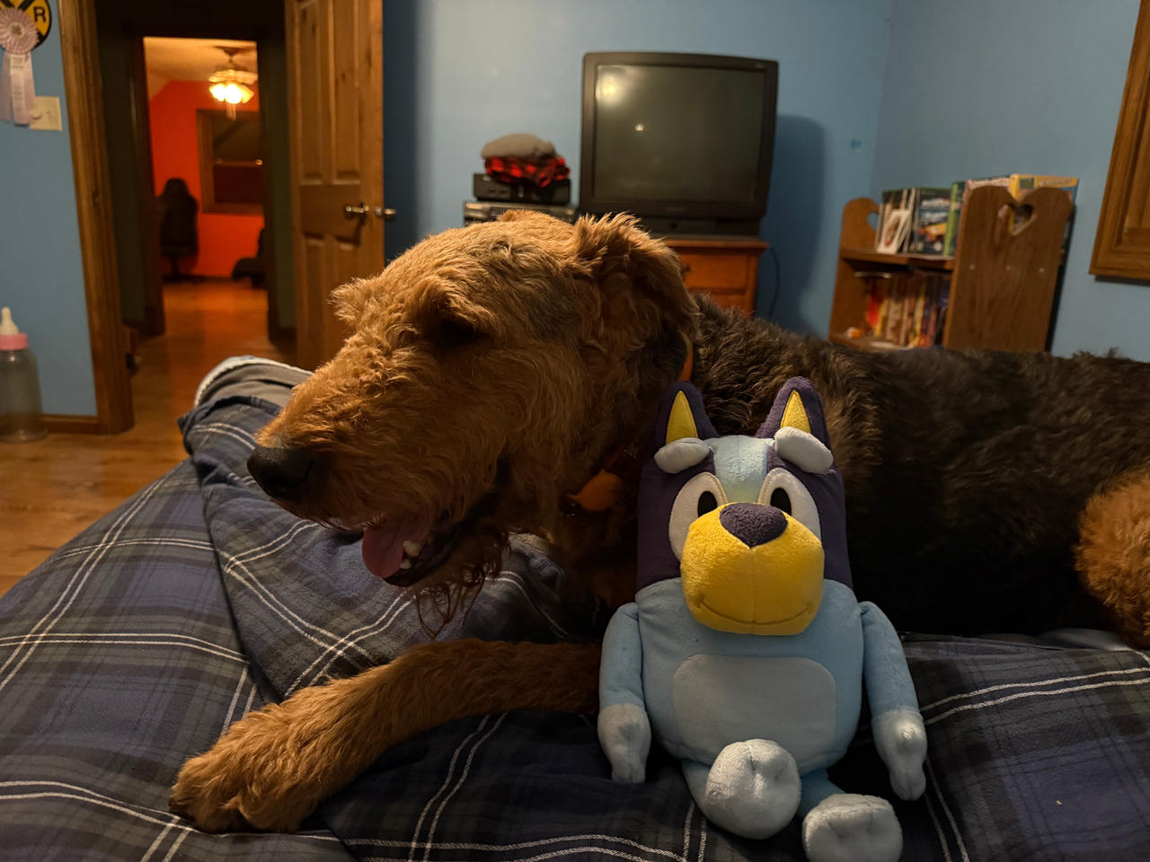 Chewie and Bluey being Buddies
