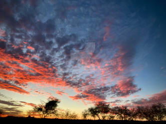 Skies Over Home 