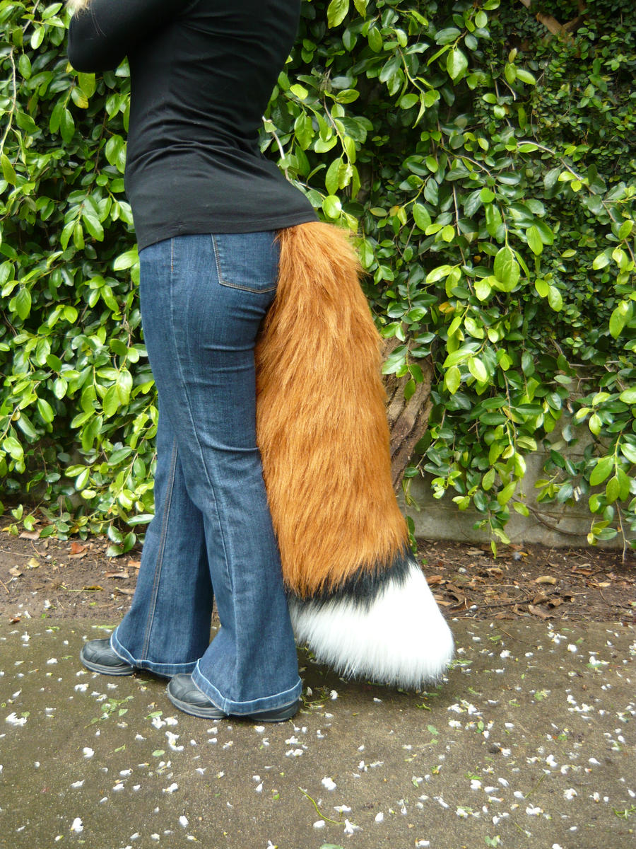 Fox Tail Commission