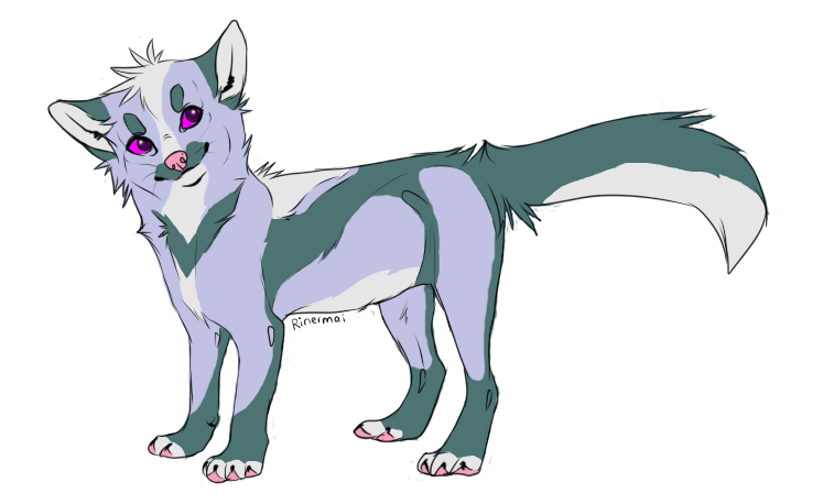 silver fox adoptable OPEN