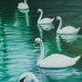 Five Swans