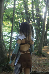 Aela the Huntress (1)