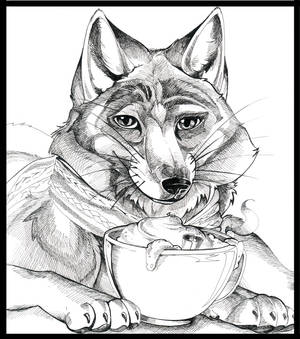 coffee fox