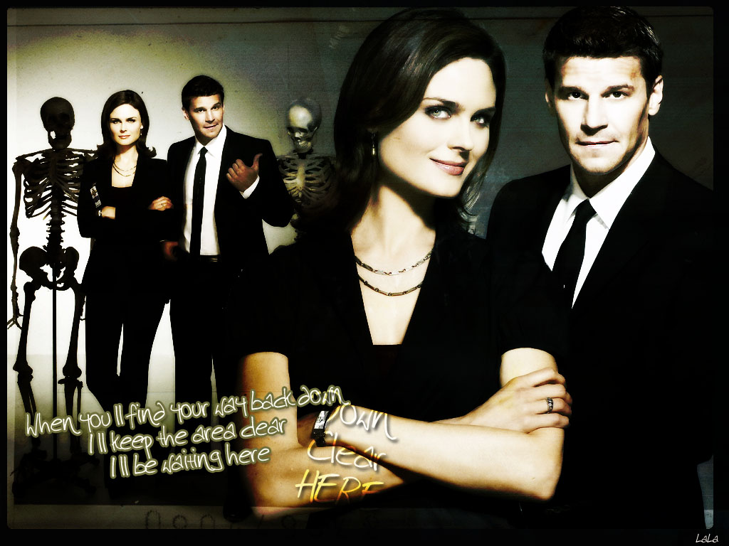 Bones season 3 Wallpaper