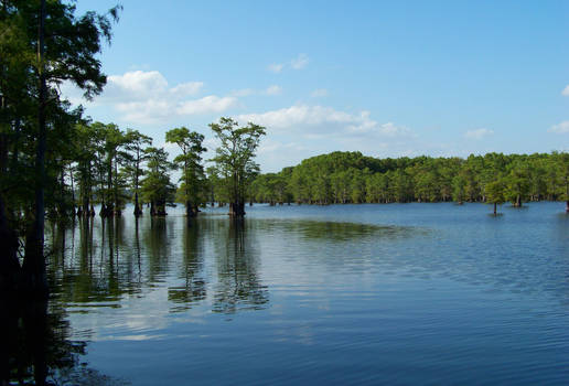 Out on the lake again