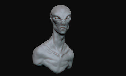 ZBrush Document