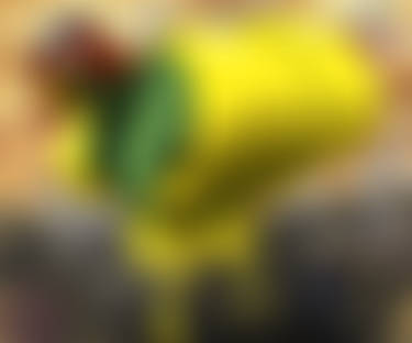 Enlarge Person: Rogue