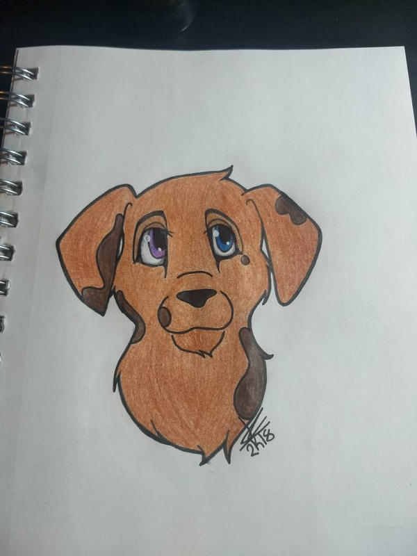 Random Doggo Images Random Doggo by JC-Headquarters on DeviantArt