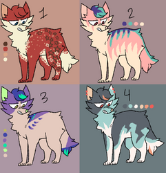 $1 adopts open