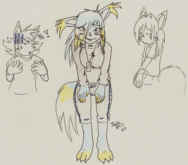 The Sami By Crusherthehedgehog On DeviantArt the-sami-by-crusherthehedgehog-on-deviantart