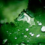 Waterdrops