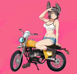 tenryuu with bike