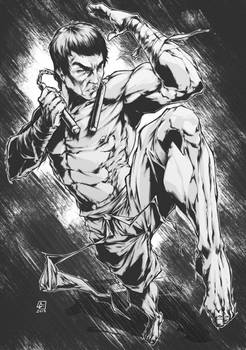 BRUCE LEE commission