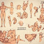 LEARN HOW TO DRAW: ANATOMY and PERSPECTIVE