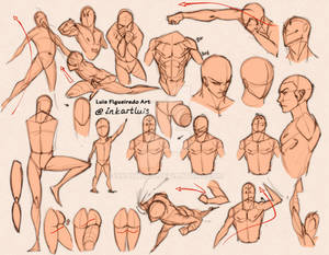 ANATOMY n PERSPECTIVE the use of shapes