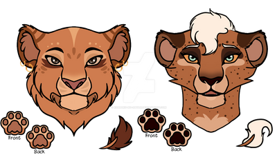 Result for Kaylee girl B2 and A3