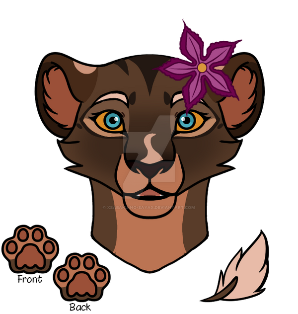 Results for NahaylHarr455 C1