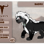 Lands of Ikaya RP Badru