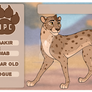 Lands of Ikaya RP Baakir (NPC)
