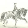 Dressage Horse (practice)