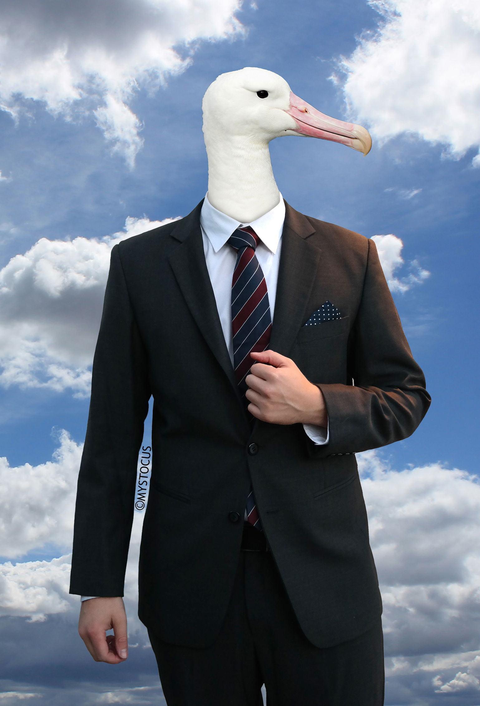 I'm an albatraoz