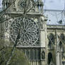 Notre Dame